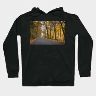 Autumn, Geres, Portugal Hoodie